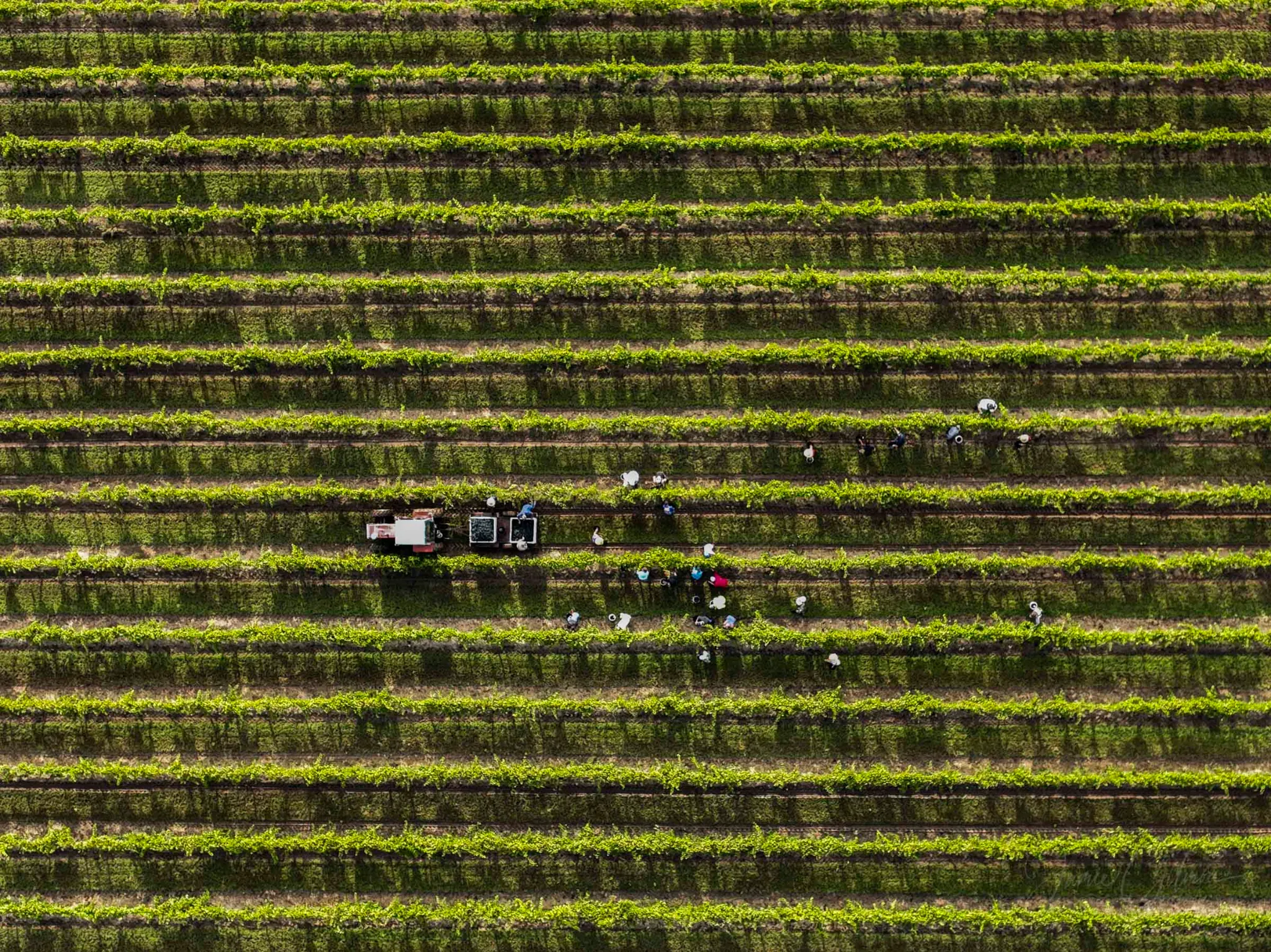 DJI_0119