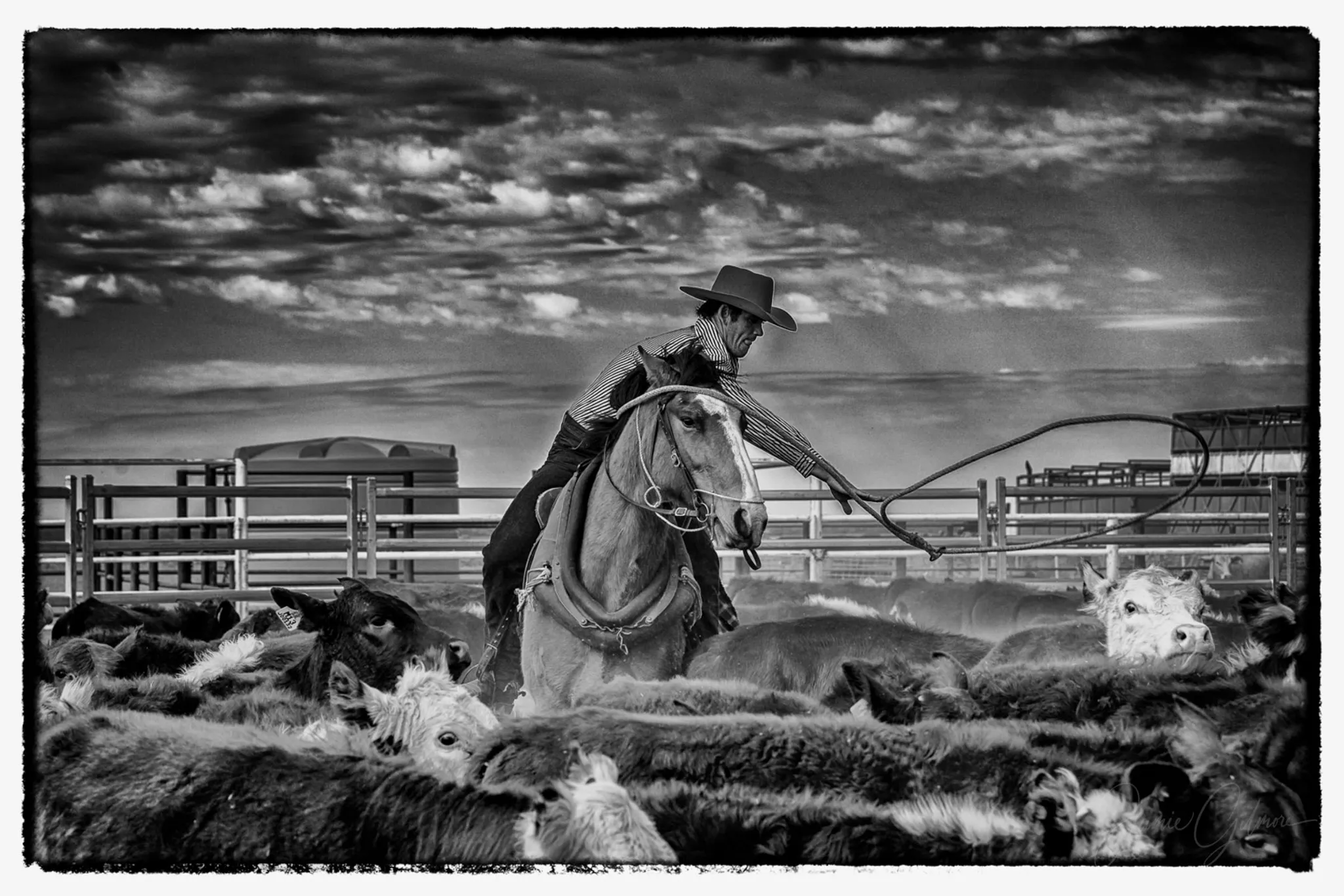IMG_3507-Edit