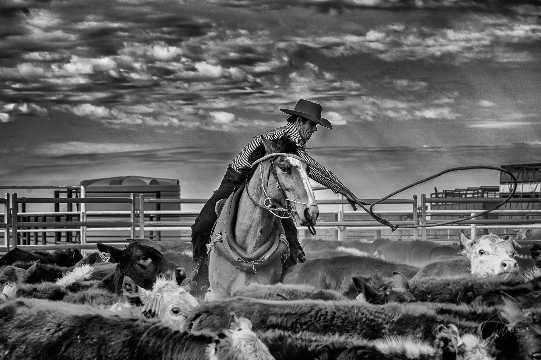 IMG_3507-Edit