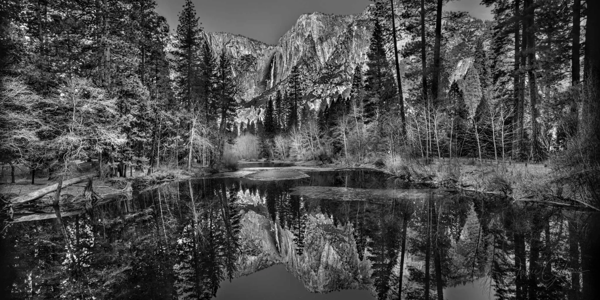 IMG_3964-Edit